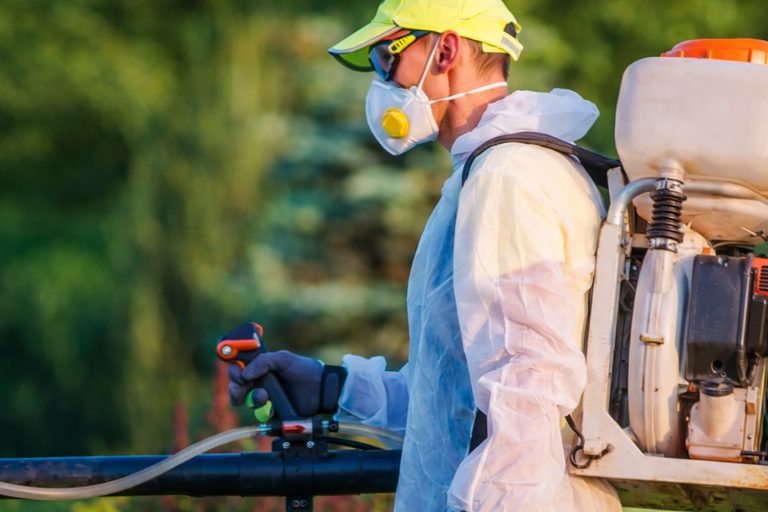 Pest Control Service